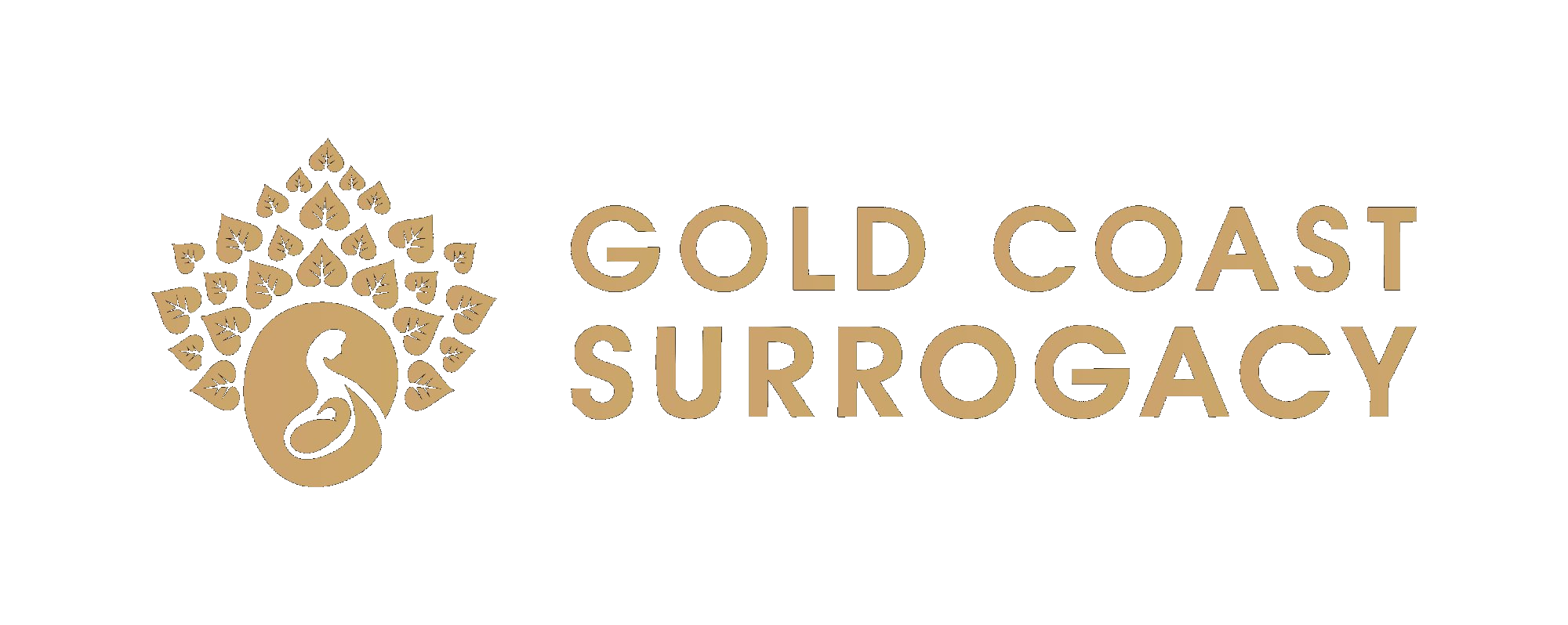 Gold Coast Surrogacy